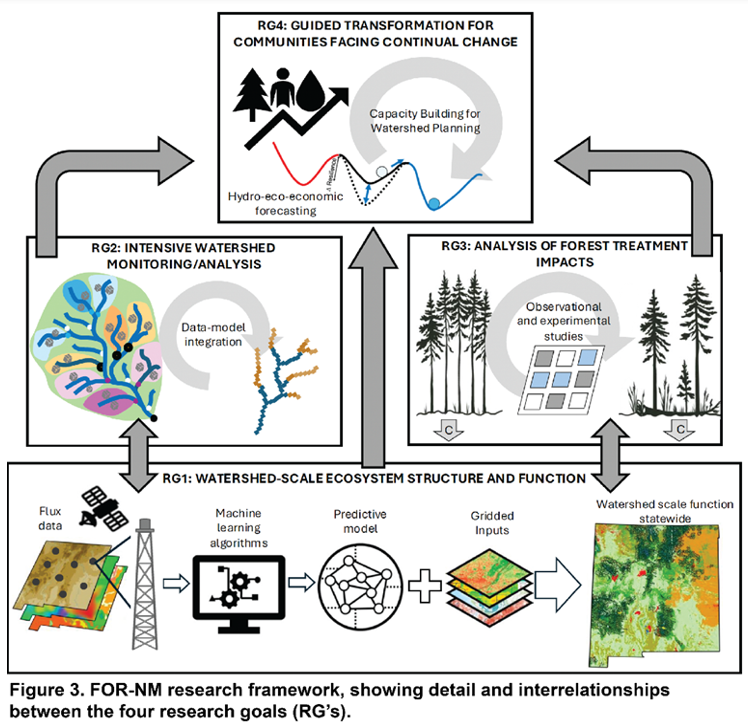 FOR-NM core structure diagram