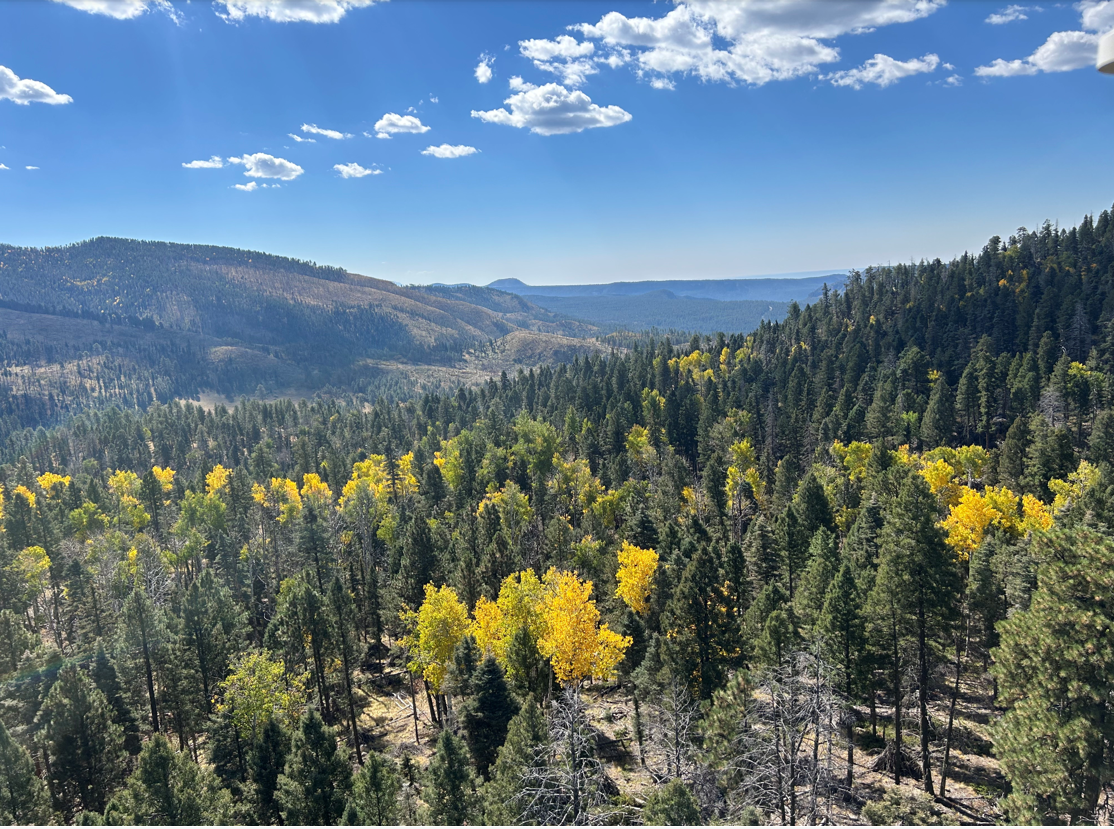 FOR-NM overview screenshot